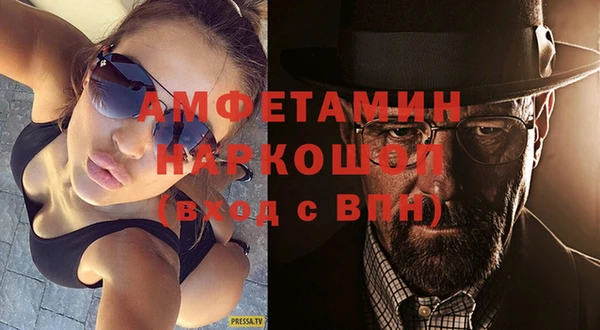 гашик Ельня