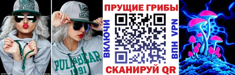 MEGA ССЫЛКА Козьмодемьянск Псилоцибиновые грибы мухоморы что такое